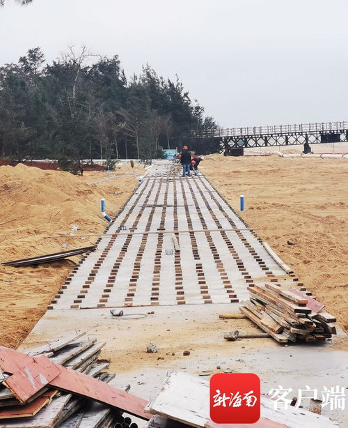 原創組圖 ?？谖骱０敦炌ǜ鹿こ套钚逻M展 國際會展中心附近沿海新建路完成瀝青路面鋪設